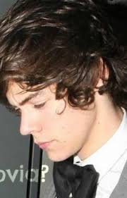 Fan o Novia? (Harry Styles)