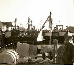 Image result for Brown 1968 Fleet