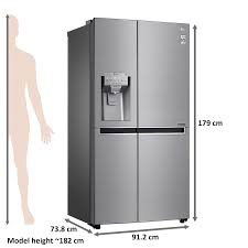 The disgusting smell comes from the decaying food leftovers in the dishwasher , which have stuck somewhere inside the drain system. Buy Lg 668 Litres Frost Free Inverter Side By Side Door Refrigerator Multi Air Flow Gc L247clav Bpzqeb Shiny Steel Online Croma