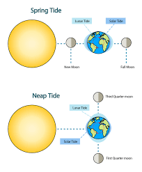 Published by teach starter publishing. Sun Earth Moon Motion 8th Grade Science