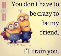 9 funny friendship quotes minion quotes friendship quotes funny friendship humor funny minion quotes