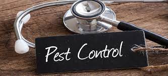 You should look over your tenancy. Who Is Responsible For Pest Control When Renting In The Uk