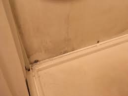 Zwarte schimmels houden, zoals alle schimmels, van vochtige ruimtes met. Zwarte Schimmel In De Badkamer Picture Of Kit Wat Marina Motel Sauble Beach Tripadvisor