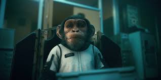 Share the best gifs now >>>. Baby Pogo The Umbrella Academy Hd Tv Shows 4k Wallpapers Images Backgrounds Photos And Pictures