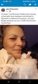 I'm still looking for my Freddy! I think someone may have taken him in.  He's the sweetest Boy! SPRINGHILL, FL. Been missing since June. 😕