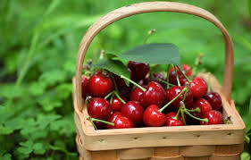 Risultati immagini per CILIEGE