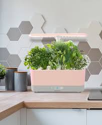 Save money online with aerogarden deals, sales, and discounts april 2021. Aerogarden Harvest Slim With Gourmet Herbs Seed Pod Kit Reviews Small Appliances Kitchen Macy S
