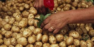 Mapping Monday The Geography Of Potatoes And Sweet Potatoes Potatoes Sweet Potato Food
