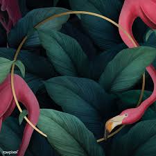 Tropical Birds And Flowers Wallpaper Download Premium Illustration Of Tropical Flamingo On A Round Golden Frame Bird Illustration Tropical Illustration