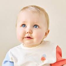 Gebreide trui in lila grove brei Ella Italia