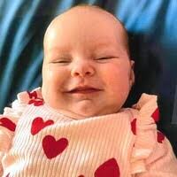 8897846_fbs.jpg?cb=20250606014241