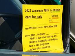 Image result for Ice Blue 1964 Morris