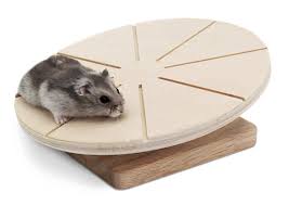 Here is a homemade version you might prefer. Diy Wooden Exercise Wheel Gerbil Google Search Dwarf Hamster Toys Gerbil Hamster