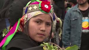 230 Mapuche Stock Videos, Footage, & 4K Video Clips