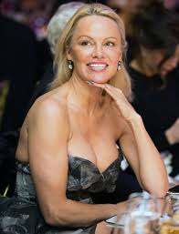 The baywatch star has married dan hayhurst, it was announced on wednesday. Surprise Pamela Anderson Secretly Married Her Bodyguard Dan Hayhurst On Christmas Eve People Com