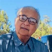 Mr. Nolen J. Pitre Obituary