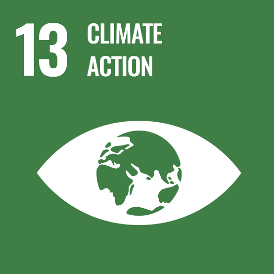 SDG 9 - Industry, Innovation and Infrastructure