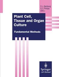 Plant cell, tissue and organ culture. Plant Cell Tissue And Organ Culture Fundamental Methods Amazon Com Br