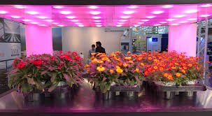 While the top led grow lights for you will vary depending on your cultivar, growing conditions, and volume, the best led grow lights for indoor plants will if you're wondering, what are the best led grow lights for my needs? look no further. Mechatronix Vertical Farming Led Grow Lights