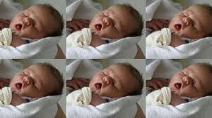 Weitere beiträge von berliner_sechslinge anzeigen. Die Ersten Sechslinge Seit 20 Jahren Panorama