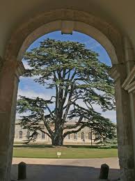 Here you can find out about our courses, get inspired by looking at all the subjects we offer and discover what makes us an outstanding college. Bedfordshire Pictures Images Photos Bedfordshire Woburn Abbey Cedar Trees