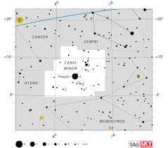 canis minor star map star chart location procyon coordinates