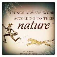 The Magician S Nephew The Magicians Nephew Fantasy Authors Christian Author