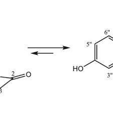 Image result for Agelanthus sp. aff. A. brunneus