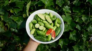 Image result for Coccinia grandis