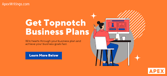 Business Plan Writing Service - Apex Writings