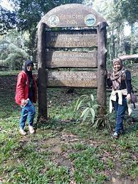 Tawau hills park, tawau division, sabah, malaysia. Taman Bukit Tawau Picture Of Tawau Hills Park Tripadvisor