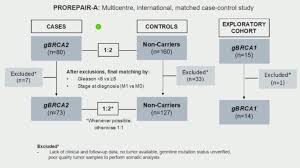 Despite this, pancreatic cancer is among the deadliest types of cancer, which is why it's extremely important to know and recogni. Esmo Virtual Congress 2020 Prorepair A Study Results Clinical Impact Of Somatic Alterations In Prostate Cancer Patients With And Without Previously Known Germline Brca1 2 Mutations