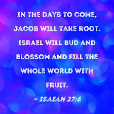 Isaiah 27:6 In the days to come, Jacob will take root. Israel will bud and  blossom and fill the whole world with fruit.