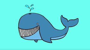 Comment Dessiner Une Baleine Youtube Les baleines à fanons se nourrissent généralement en banc en ouvrant. comment dessiner une baleine