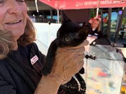 It's a beautiful day at our free adoption event with Congressman Kevin  Kiley and Supervisor Shanti Landon at our Auburn shelter. Come