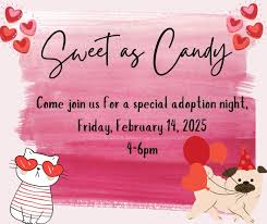 Lubbock Animal Services was live.