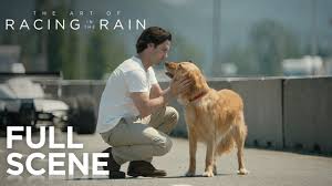 Enzo is a wise sage who understands everything. The Art Of Racing In The Rain Full Scene 20th Century Fox Youtube