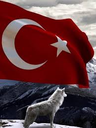 Just drag & drop the.zip file into lively window. Turkische Flagge Wallpaper Fur Android Apk Herunterladen