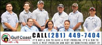 The best pest control services in houston are performed by industry leaders—orkin, terminix, and aptive. Flea Control Flea Removal Pest Control Houston Gulf Coast Exterminators