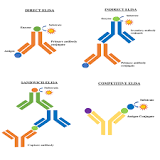 BTL Biotecho Labs | Life Science Research Products suppliers ...