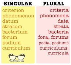 A Word Grammar And Vocabulary Writing Words Plurals