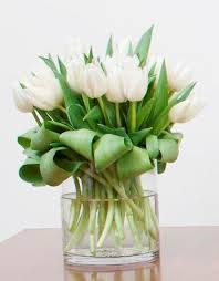 Bird Of Paradise Plant Leaves Curling Inward Pin By Beth Tarter On For The Home Flower Arrangements Tulips Spring Decor