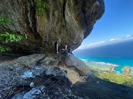 Image result for Pyrostria bibracteata