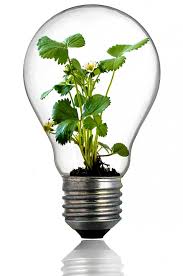Bulb Light Growth Free Photo On Pixabay