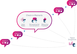 explaining the stages of the performance management cycle