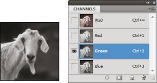 Click the + up arrow to add the tool to the toolbar. Adjust Image Sharpness And Lens Blur In Photoshop