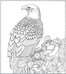 Nature coloring pages & worksheets. Backyard Animals And Nature Coloring Books Free Coloring Pages Hubpages