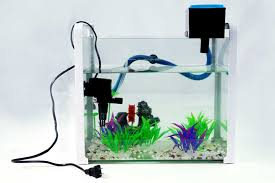Bentuk filter aquarium yang beragam dari jenis filter mini, kecil, bulat dan bentuk lainnya membuat anda bingung tentunya. 300 Gambar Filter Air Aquarium Hd Paling Keren Infobaru
