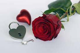 Bloom Blossom Castle Flowers Green Heart Key Love Metal Noble Open Red Red Rose Relationship Rose Day Wallpaper Good Night Flowers Rose Day Pic