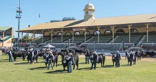 Ekka people's day is the show day of the royal queensland show, the largest and most loved annual event in queensland Ekka Stud And Prime Beef Competition Entries Now Open Angus Australia